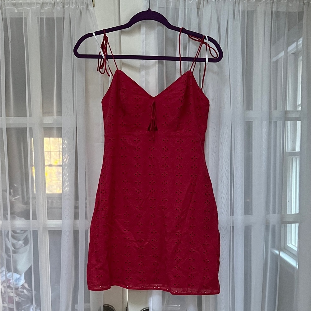 Lulu’s Pink Dress